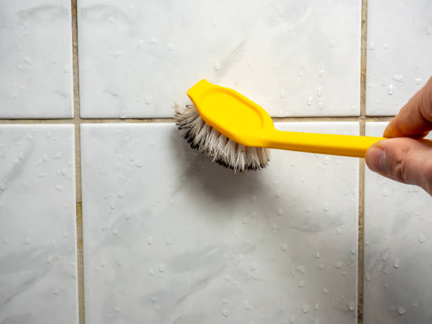 Best Black Mold Removal  in Woodbridge, CA