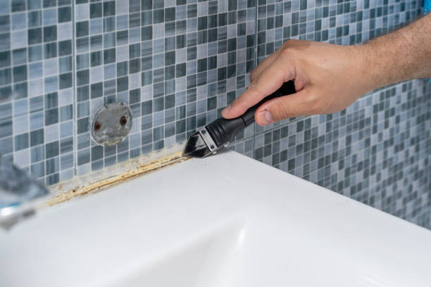 Best Mold Removal Company Near Me  in Woodbridge, CA